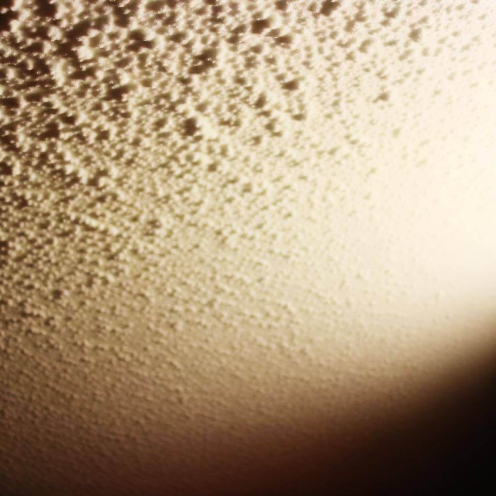 Popcorn ceiling-1