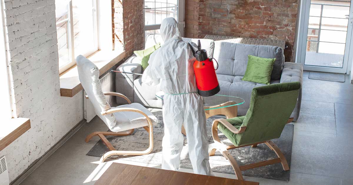 does home insurance cover mold